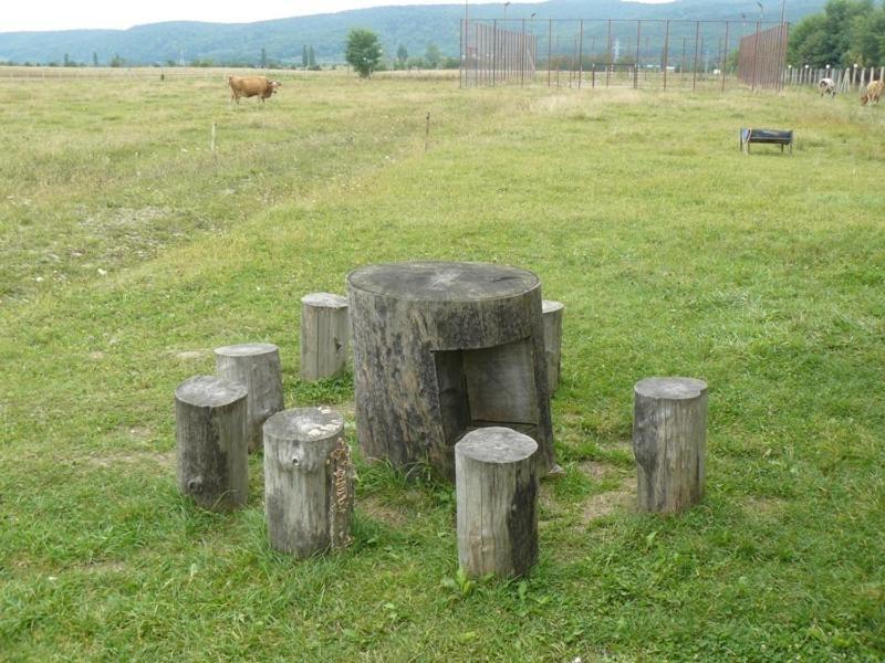 Pensiunea ,,la Struti