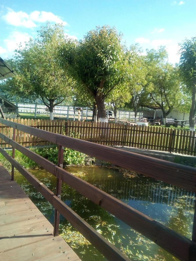 Bauernhof Pensiunea ,,la Struti