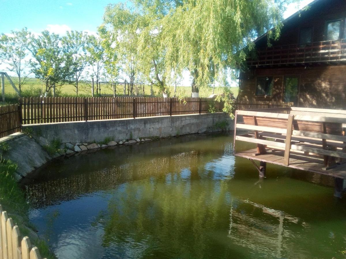 Pensiunea ,,la Struti