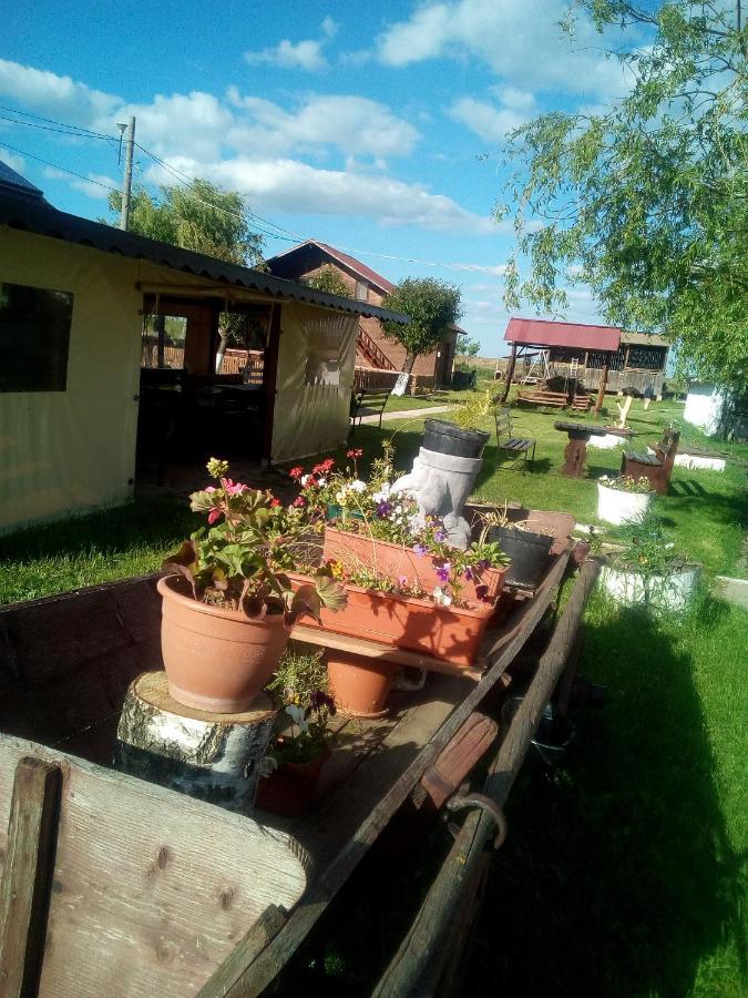 Bauernhof Pensiunea ,,la Struti